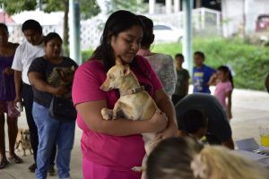 Con el compromiso de seguir fortaleciendo las acciones en favor de la salud pública y el bienestar animal, la Lic. Melissa Vargas, titular del Centro de Salud Animal, en coordinación con la Dirección de Salud Tantoyuca 2026-2029 encabezada por la Dra. Samantha Ruíz, y mediante la gestión realizada por la Regiduría Octava del H. Ayuntamiento, a cargo de la Dra. Blanca Lilia Torres, con comisión en Salud, en representación de nuestro alcalde, el Lic. Roberto San Roman, dieron inicio a la Campaña Gratuita de Vacunación Antirrábica para caninos y felinos.